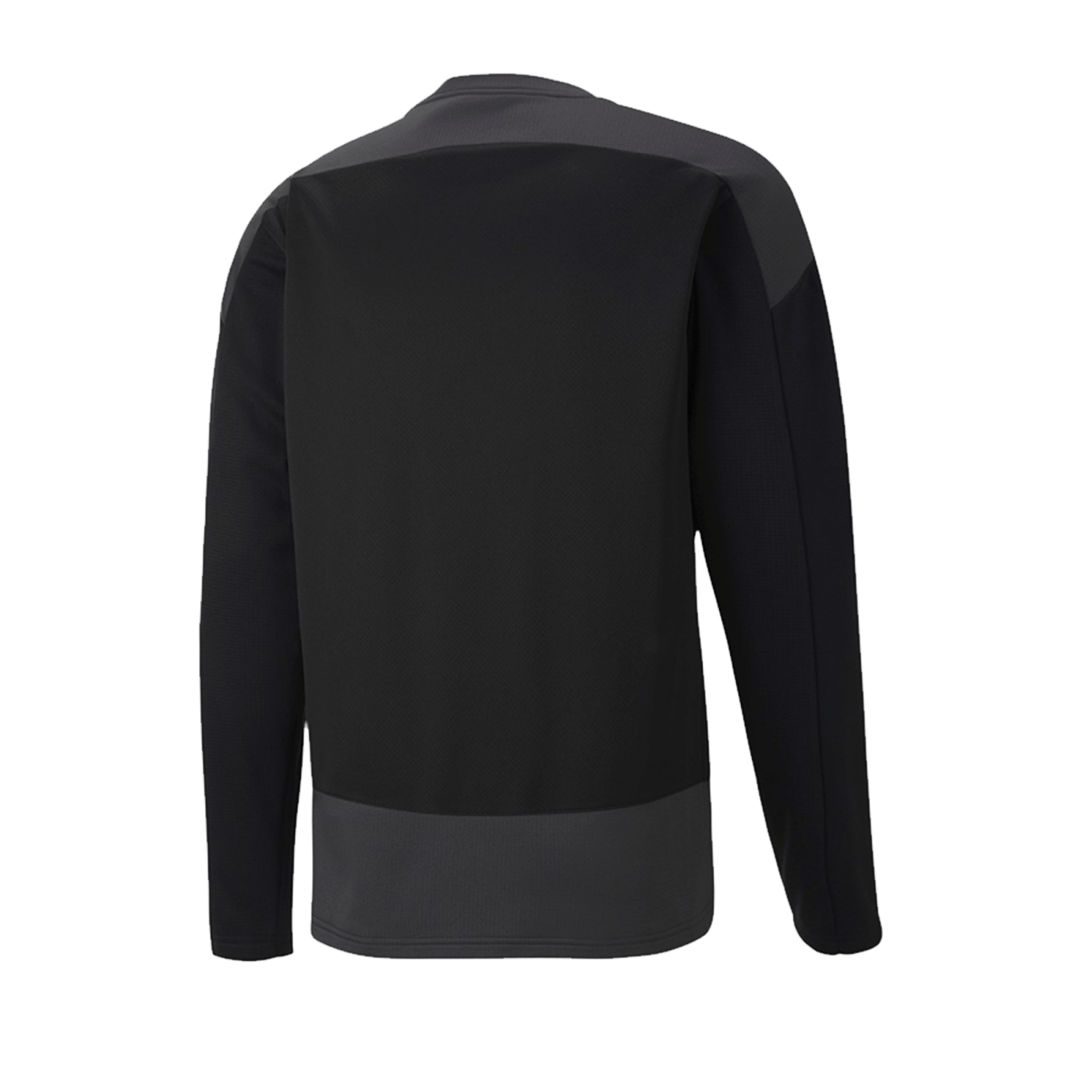 PUMA teamGOAL 23 Training Sweatshirt Schwarz F03