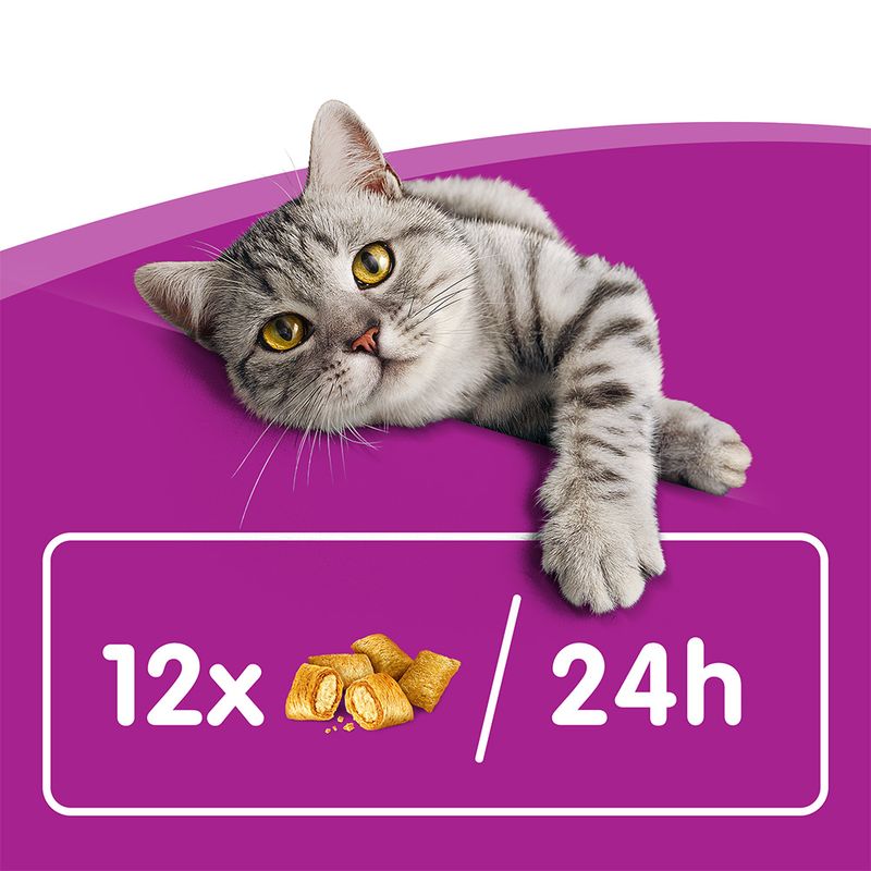 Mixpaket Whiskas Knuspertaschen 16 x 60 g