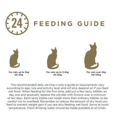 Encore Cat Huhn mit Lachs