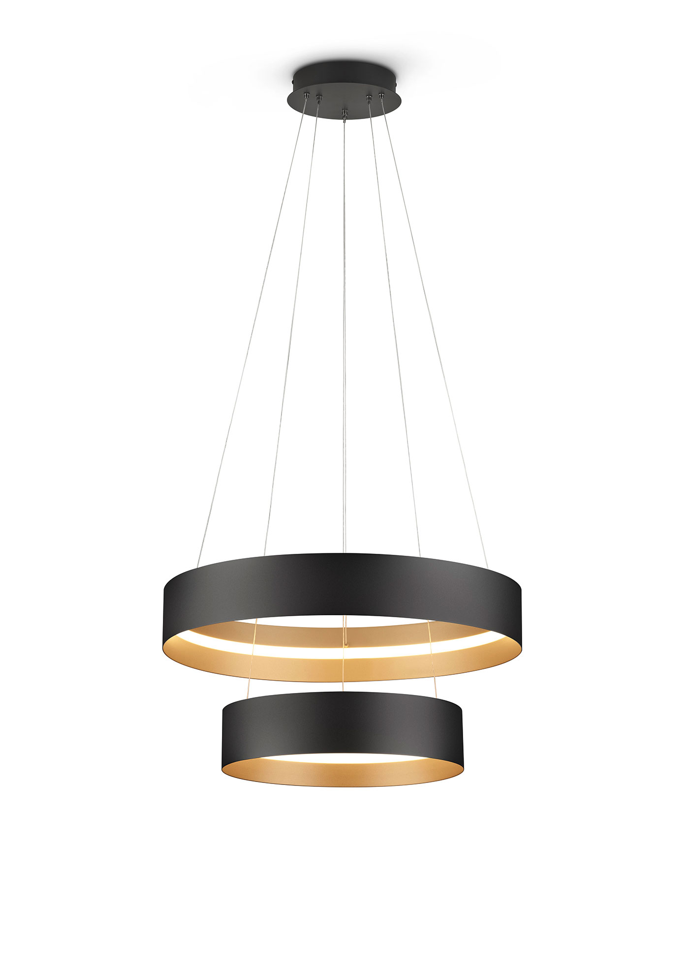MusterringLED-Pendelleuchte 1flg
