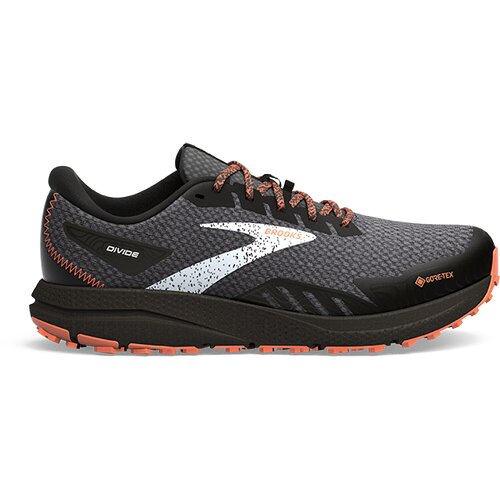 HERREN TRAILRUNNINGSCHUHE DIVIDE 4 GTX