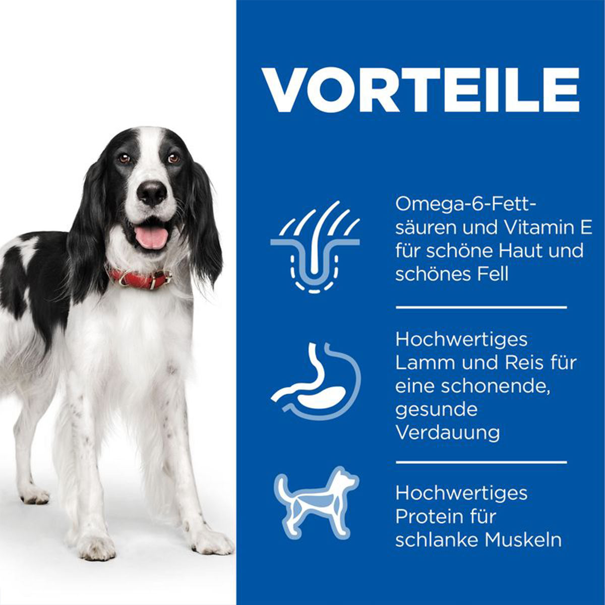 Hill's Science Plan Hund Medium Adult Lamm & Reis 14kg