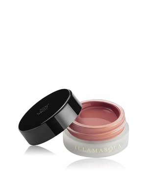 Illamasqua Colour Veil Lidschatten-4.5 ml