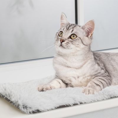 Trixie Liegematte Harvey für Fensterbank