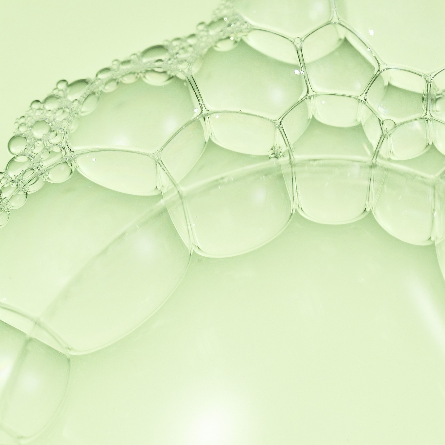 Squalane + BHA Pore-Minimizing Toner