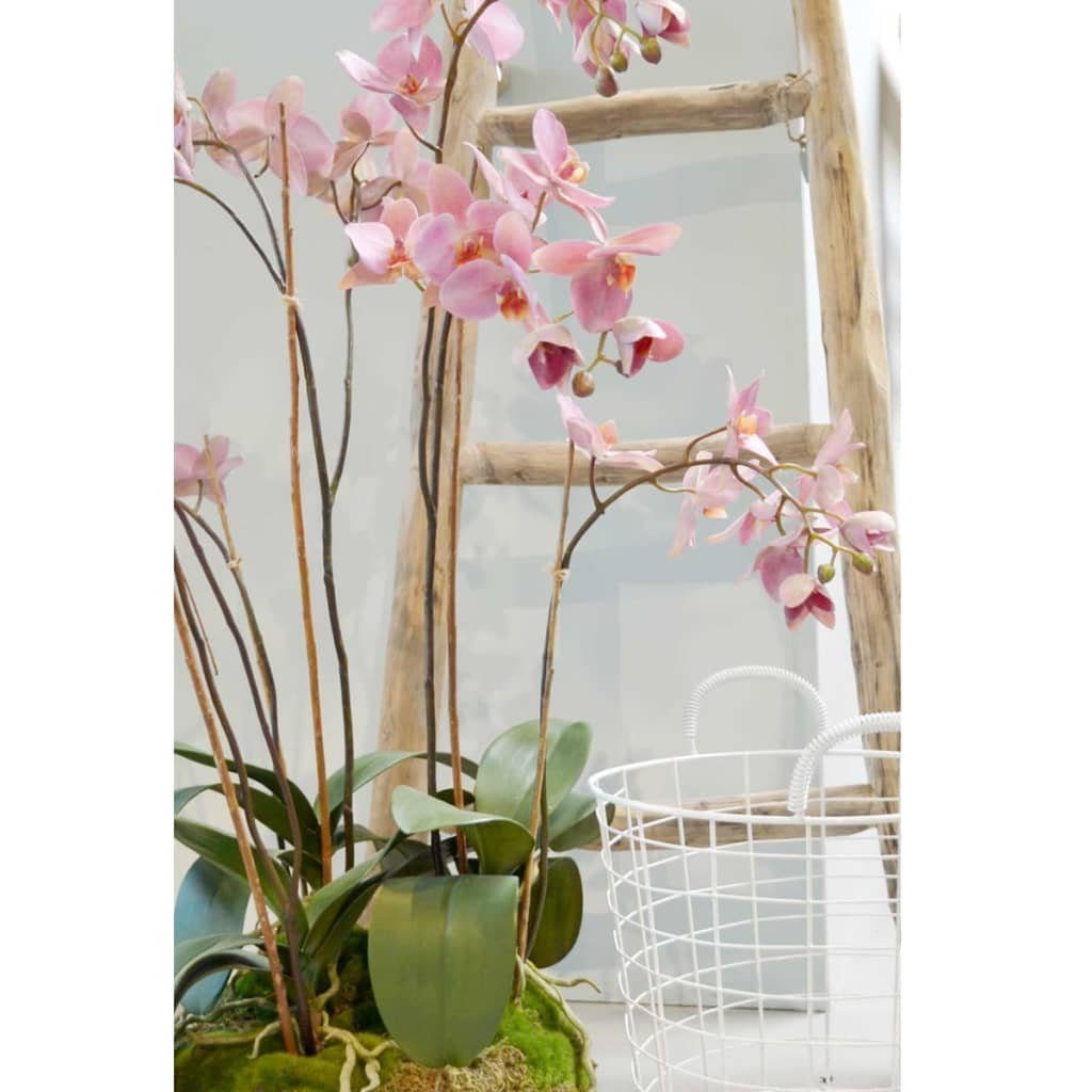 Kunstrasen Kunstpflanze Phalaenopsis mit Moos Rosa 75 cm 417662, Emerald, Höhe: 75 mm