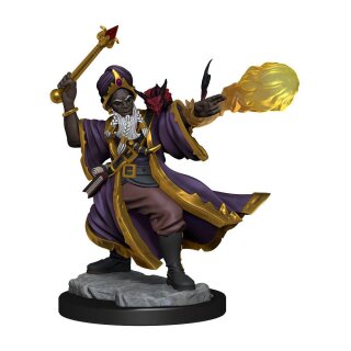 D&D Frameworks: Human Wizard Male