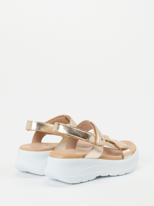 Plateau-Sandalette-12458890002 Panama Jack