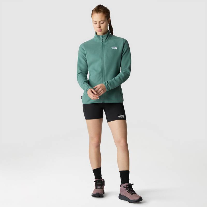 The North Face 100 GLACIER Fleecejacke Damen