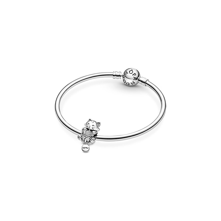 Pandora Charm Moments