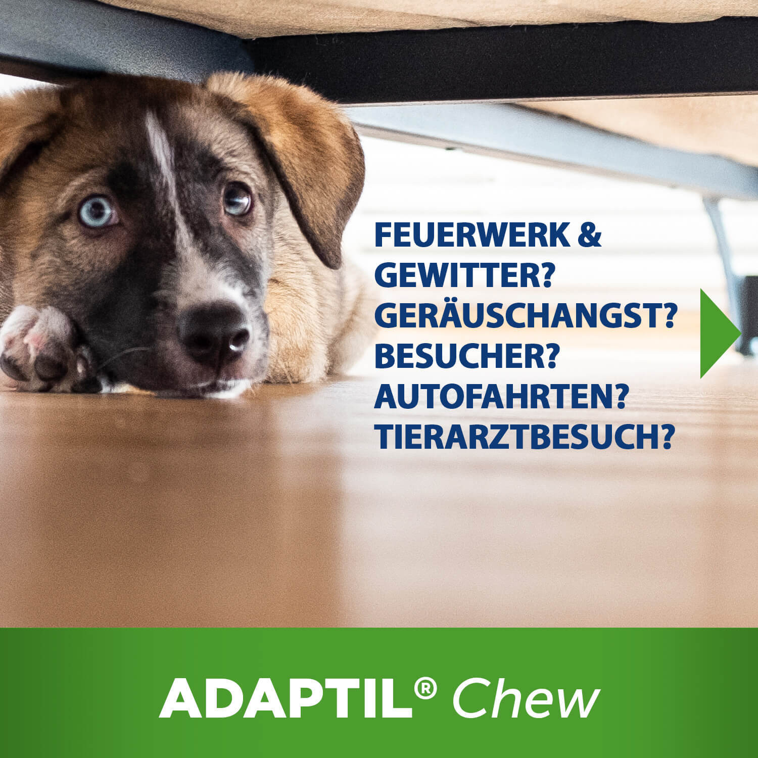 ADAPTIL Ergänzungsfutter & Aufzucht ADAPTIL Chew 30 Stück Anti Stress Snack