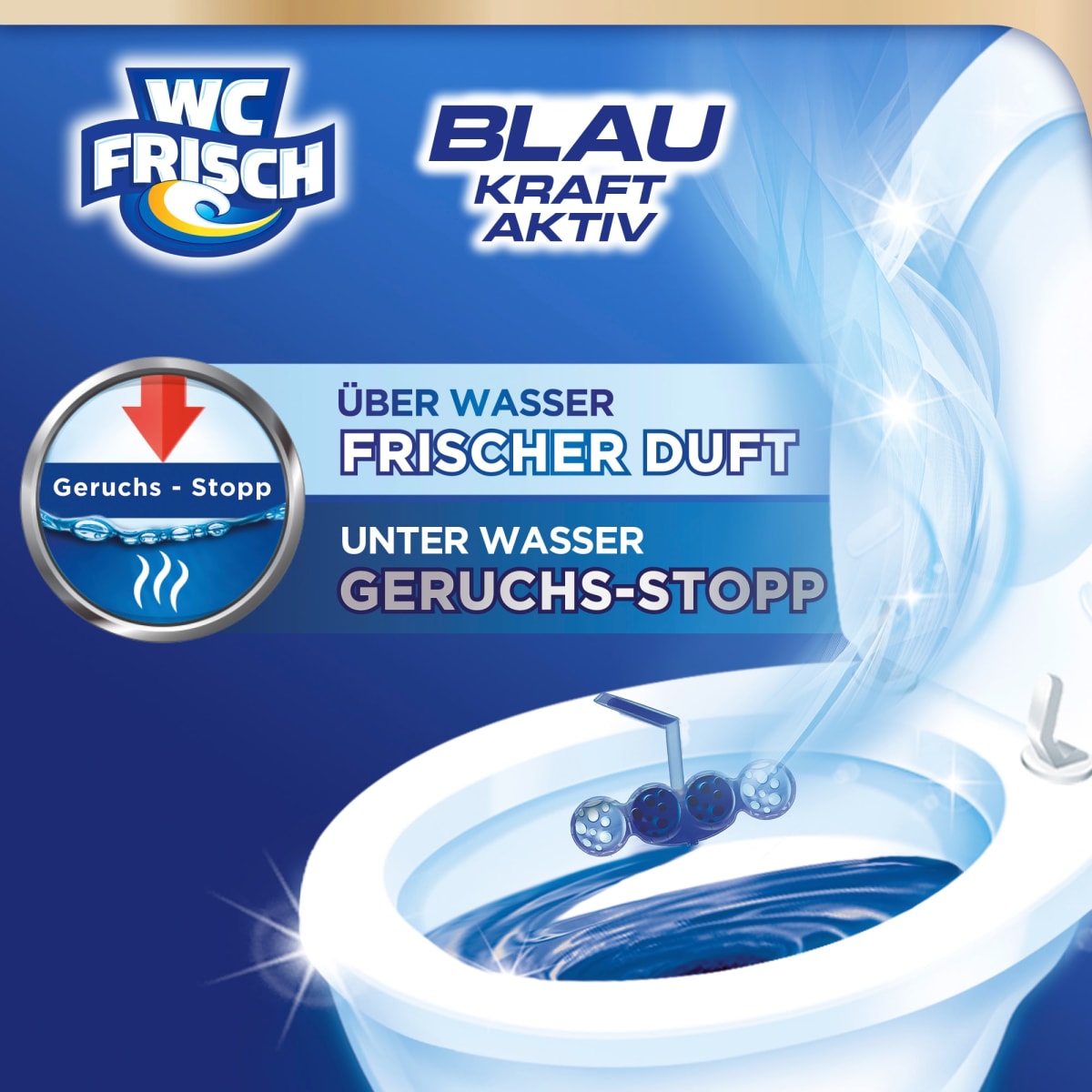 WC-Stein Blau Kraft Aktiv Chlor, 2 St