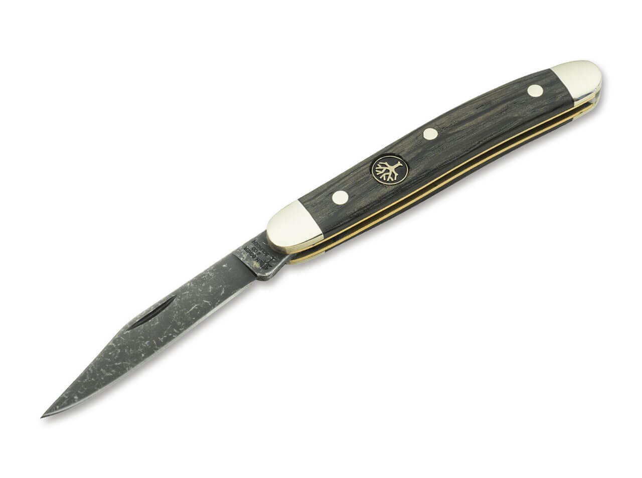 Pen Knife Oak Tree