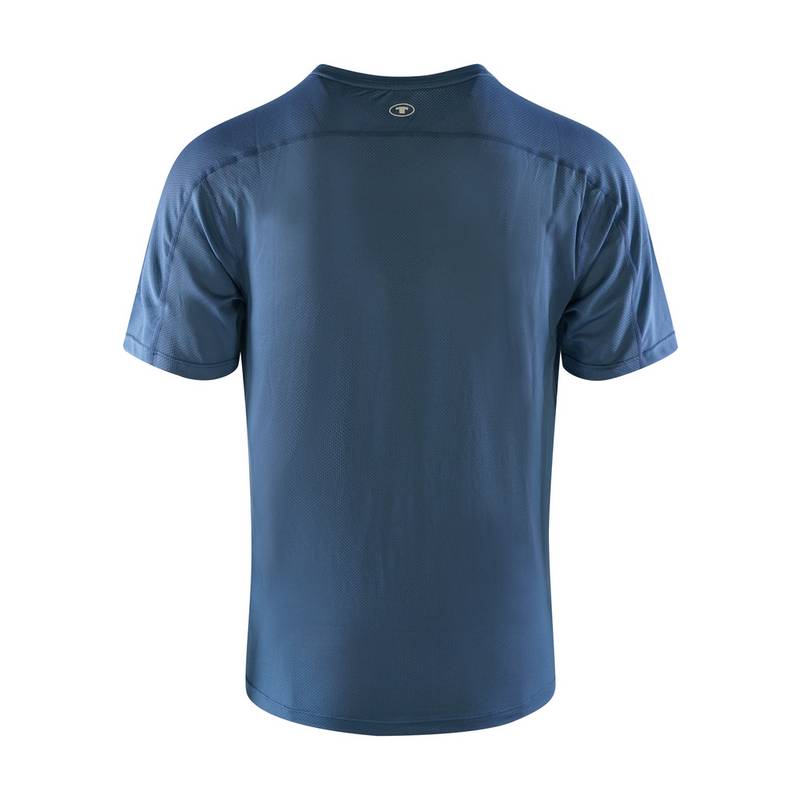 TOM TAILOR T-Shirt Alfani T-Shirt Herren