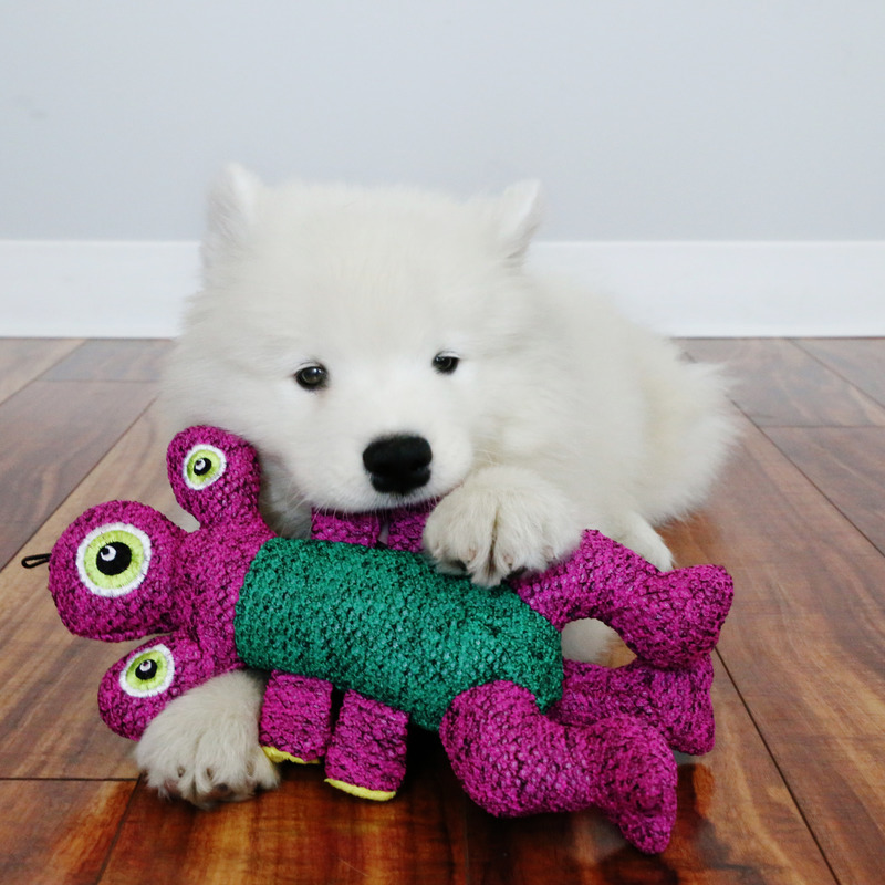 KONG Kuscheltiere KONG Woozles pink