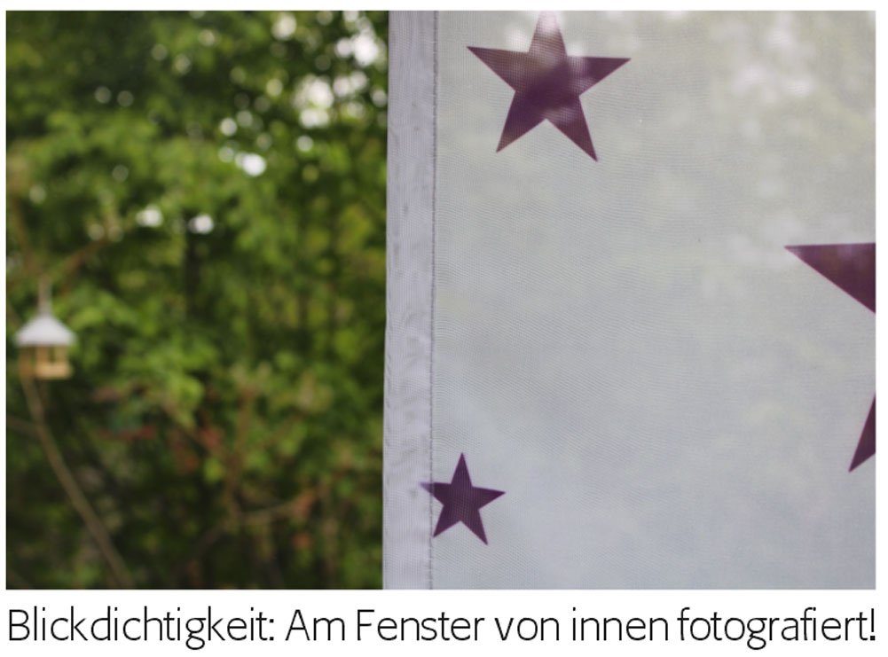 Scheibengardine Scheibenhänger Traumwinter Voile Transparent aus Feiner Voile, gardinen-for-life