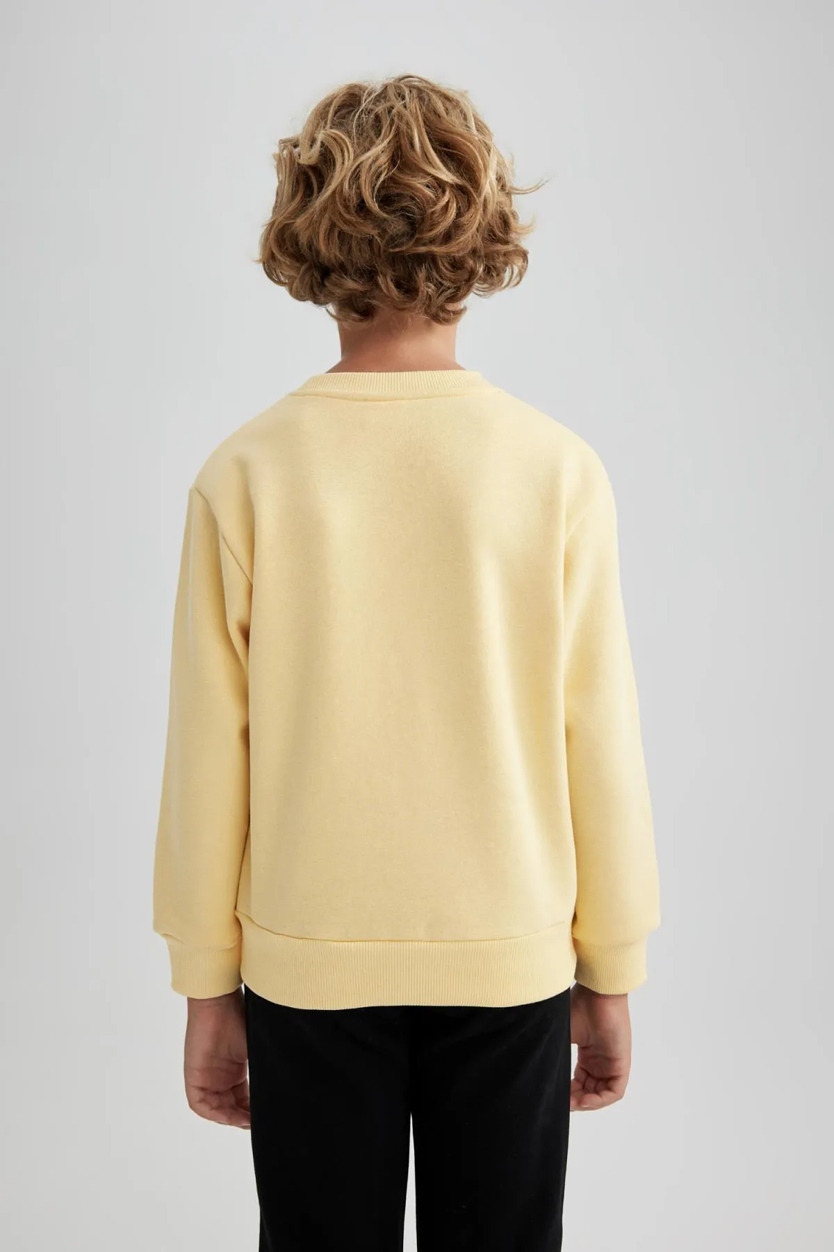 DeFacto  Dickes Sweatshirt mit normaler Passform und Rundhalsausschnitt für Jungen