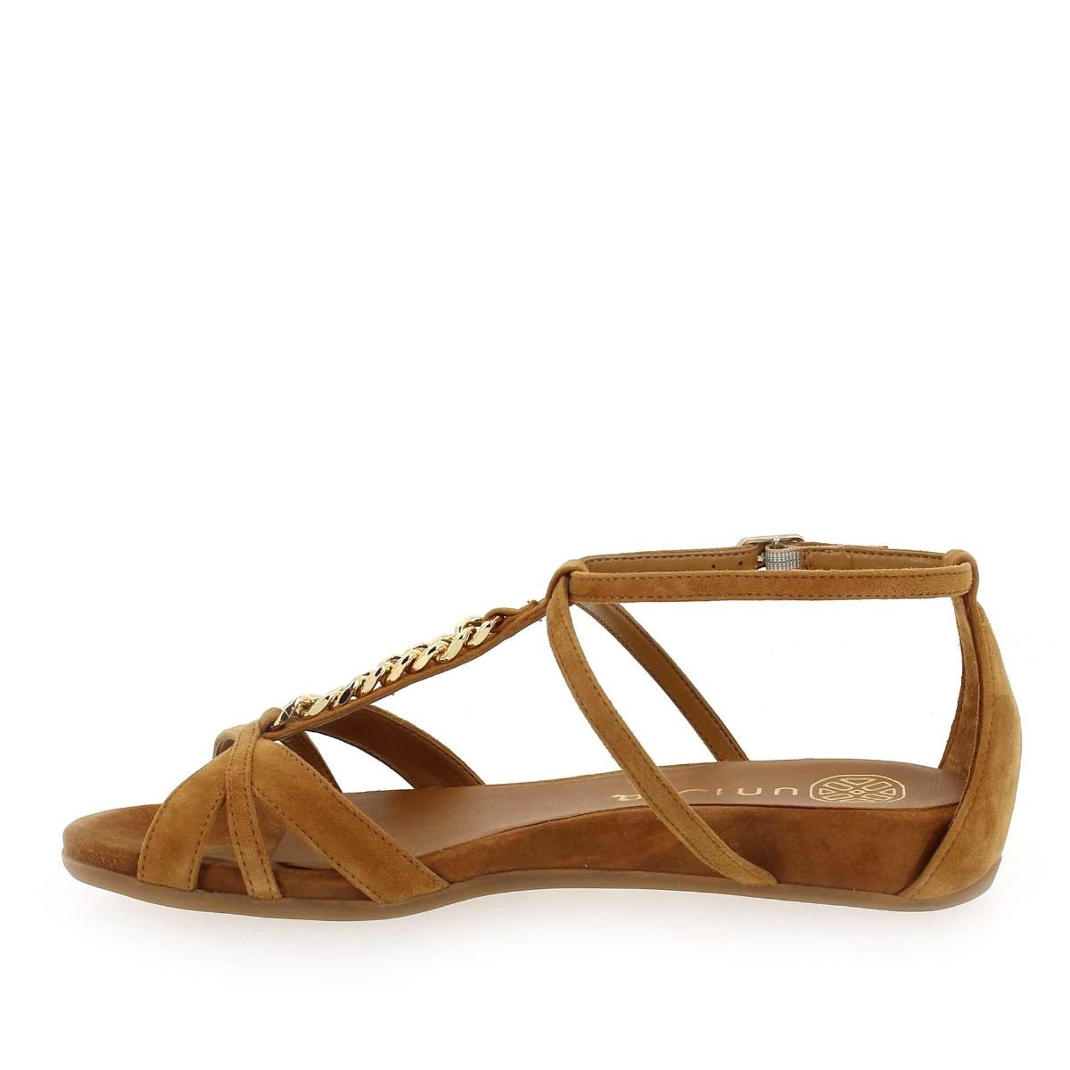 Unisa  AITOR - Camel