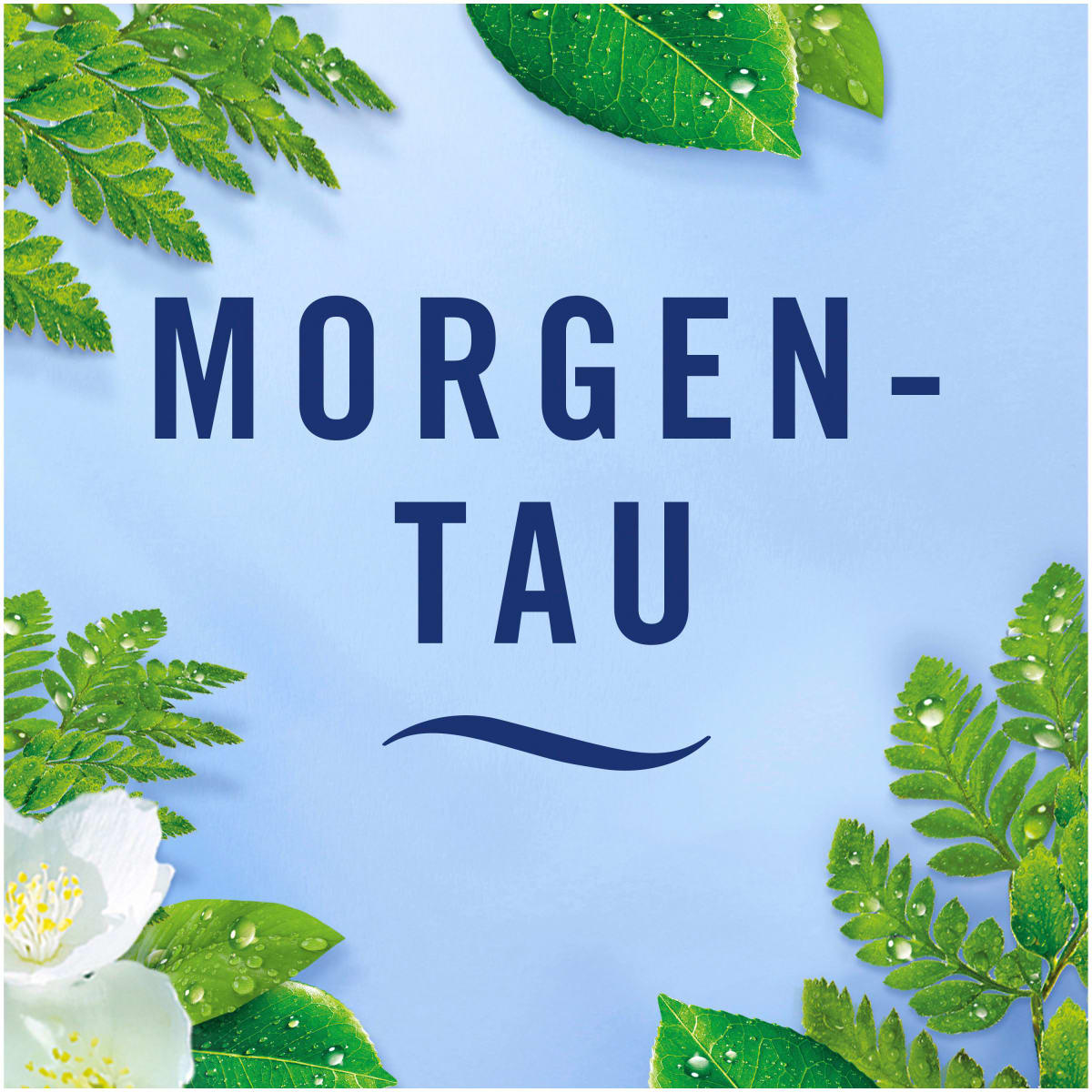 Lufterfrischer Extra Stark Morgentau, 185 ml