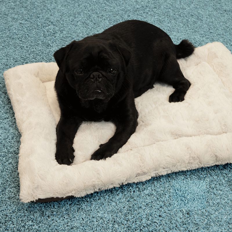 Hundekissen Self Heating Bed zu TOP-Preisen