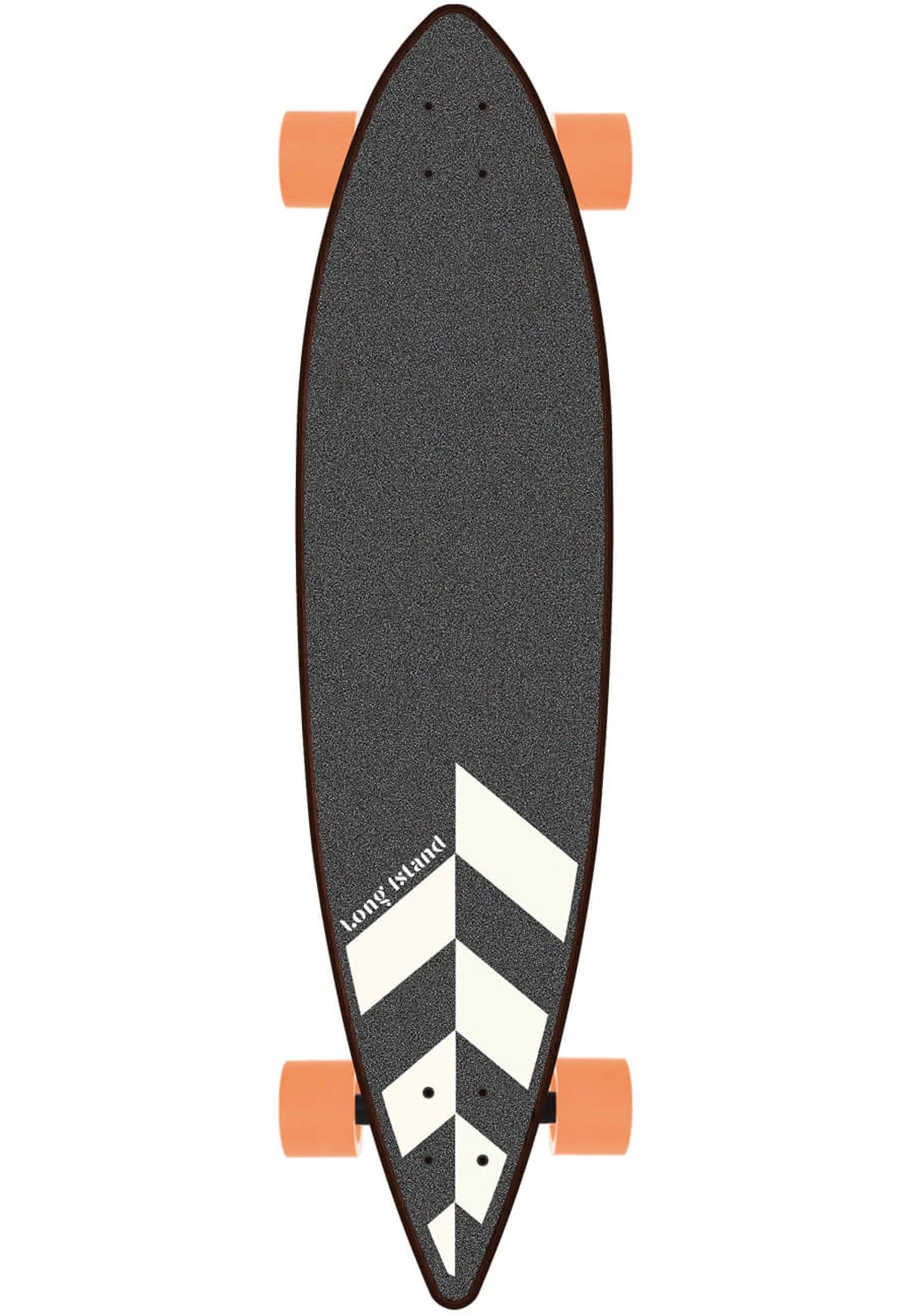 Bermuda Pintail 38