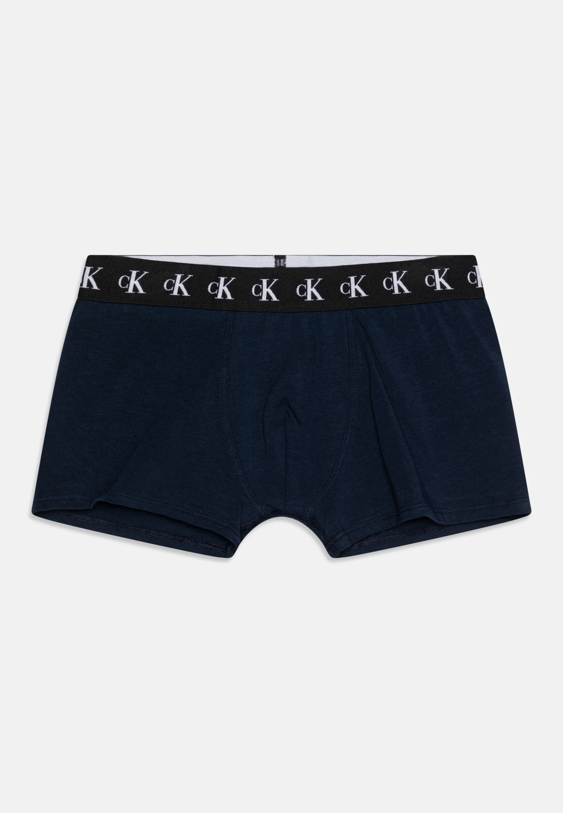 Calvin Klein Underwear TRUNK PACK DE 2 - Culotte