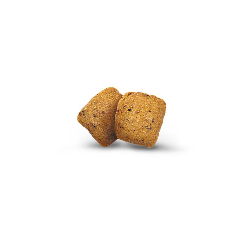 Green Petfood VeggieDog Grainfree