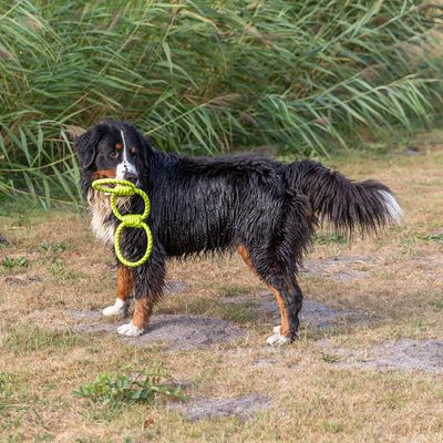 Trixie Hundespielzeug Tugger