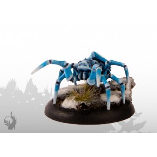 Polarspinne