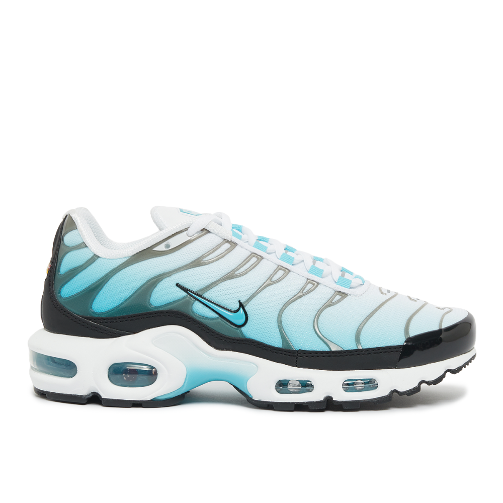 Nike Air Max Plus FD9751-100 / weiss