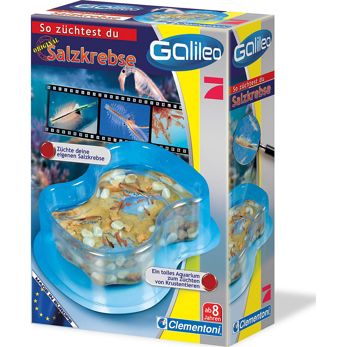 Galileo SCIENCE - So züchtest du Salzkrebse