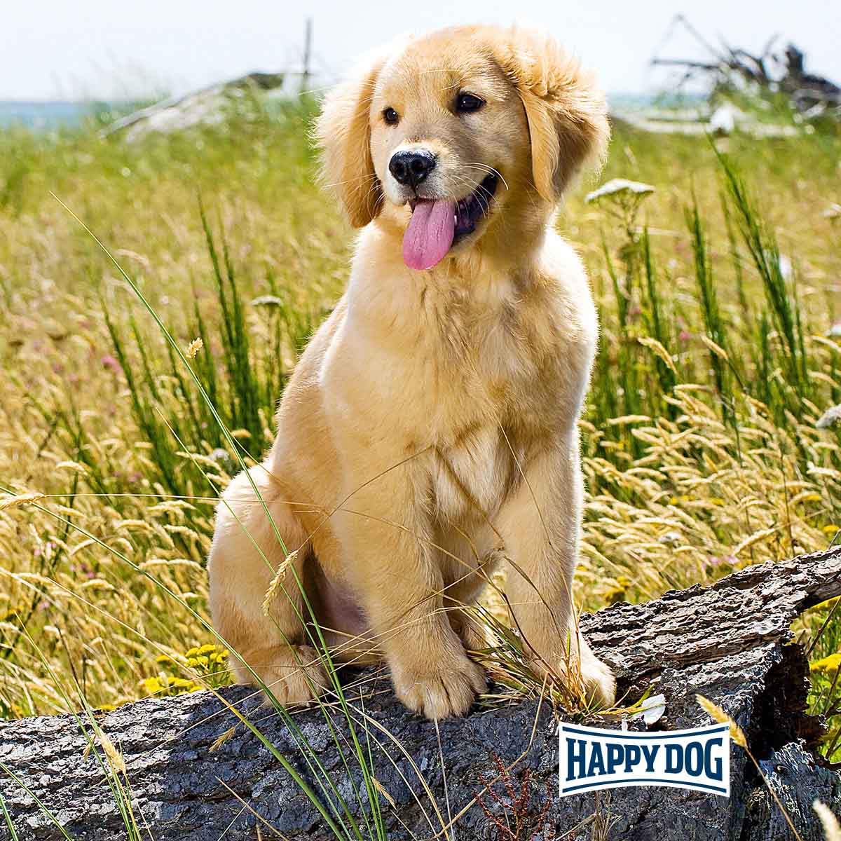 Happy Dog Premium NaturCroq Junior günstig kaufen bei ZooRoyal