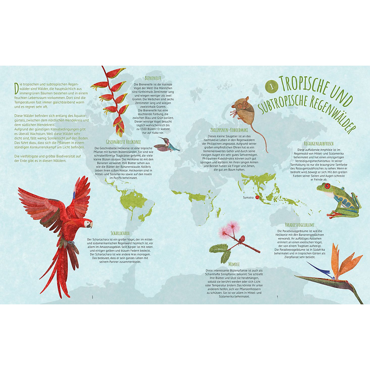Biome der Welt