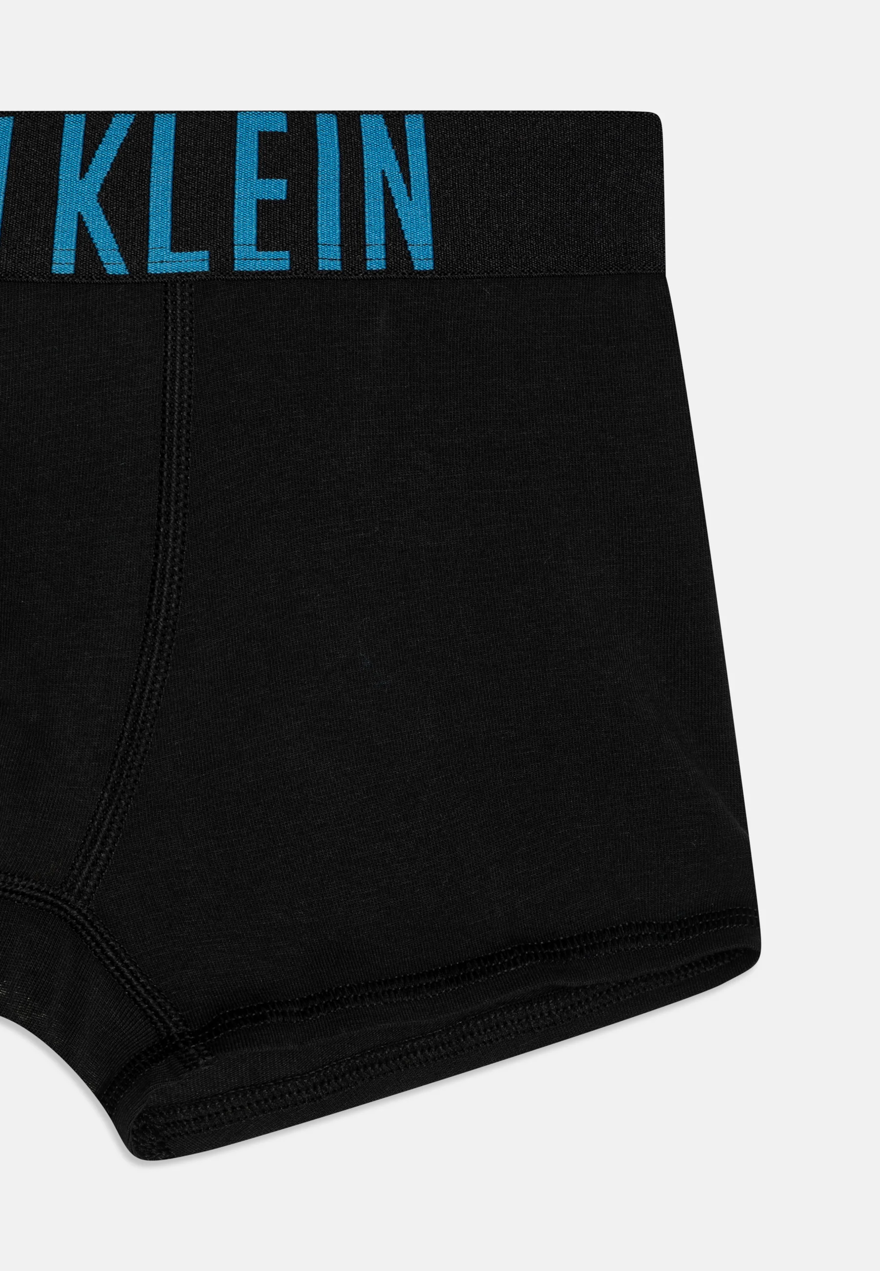 Calvin Klein Underwear TRUNK PACK DE 2 - Culotte