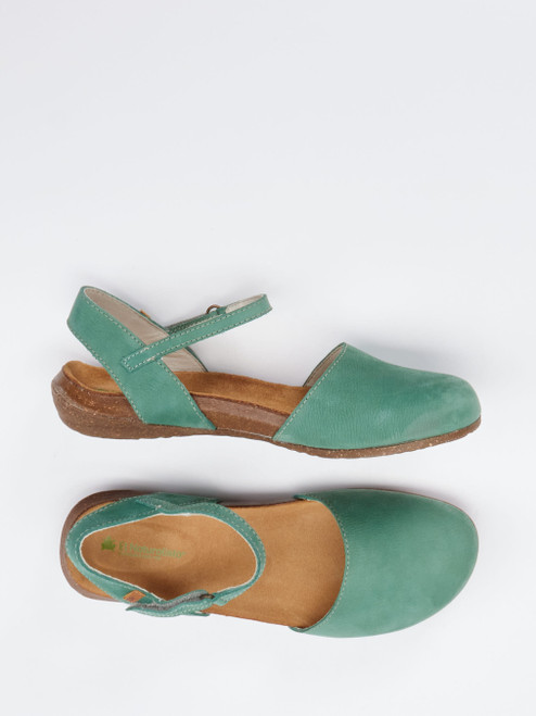 Slipper-13116790001 El Naturalista