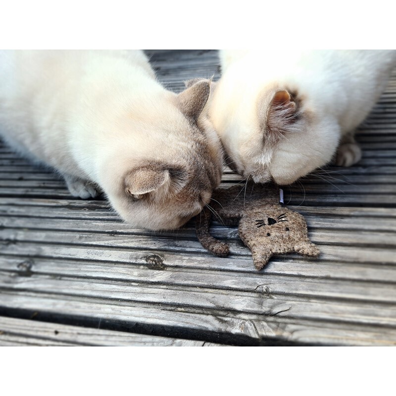 Catlab Baldrian & Catnipspielzeug Catlab S Katzenspielzeug braune Katze mit Katzenminze