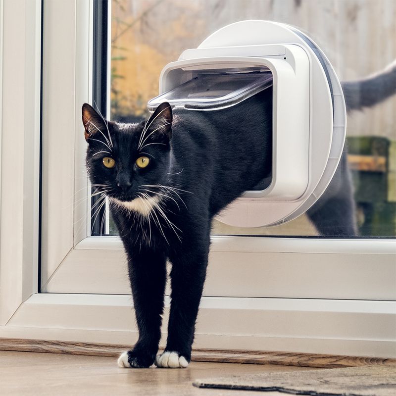Sureflap Mikrochip Katzenklappe Connect zu TOP-Preisen | bitiba %
