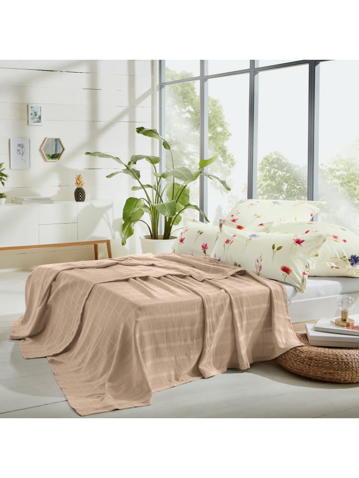 Erwin Müller Baumwolle Sommerdecke Trient in beige günstig kaufen