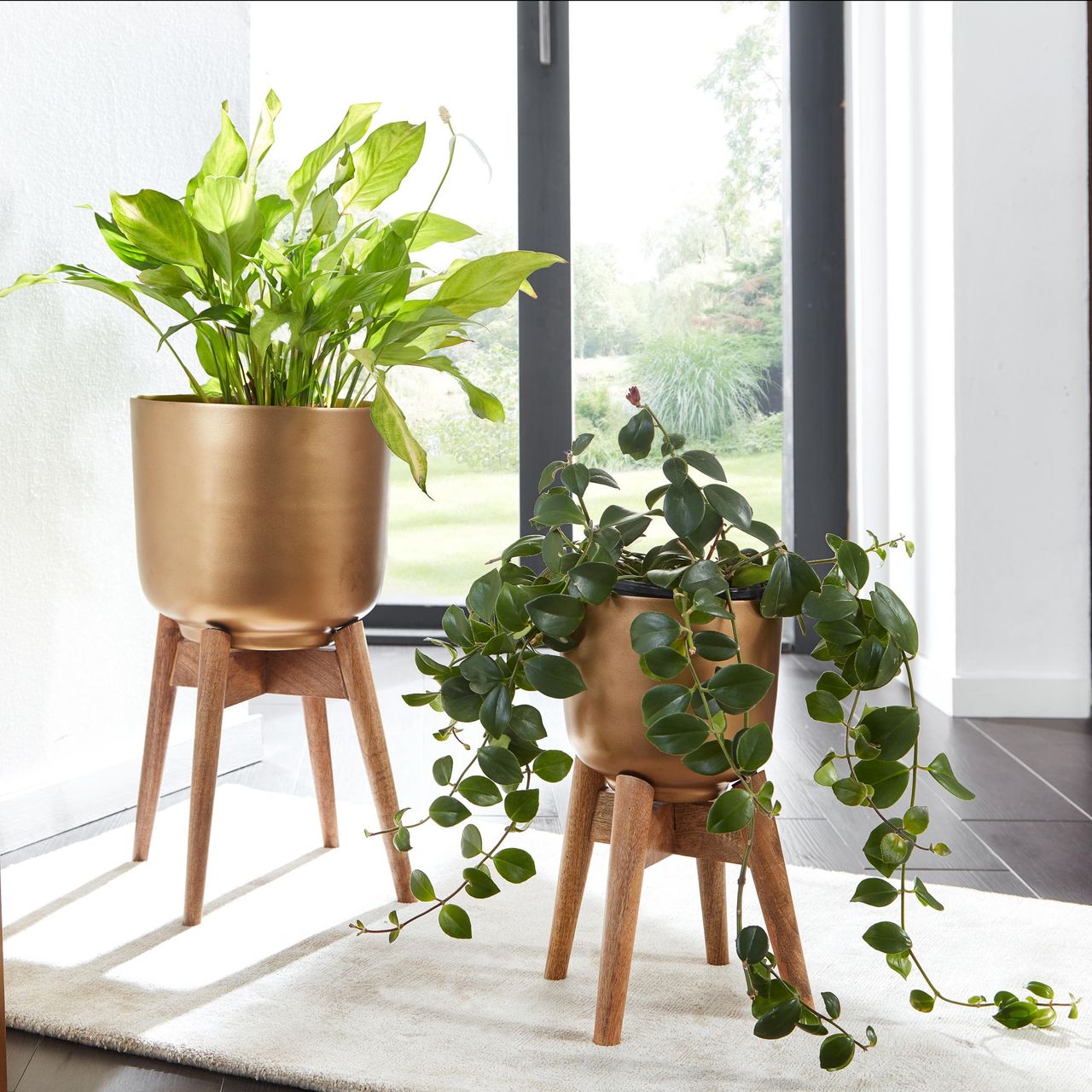 Skyport WOHNLING Blumentopf 2er Set Metall Holz Pflanzenkübel Gold Rund Pflanzgefäß