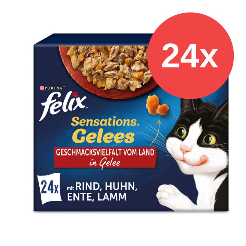Felix Sensations 24 x 85 g zu TOP-Preisen
