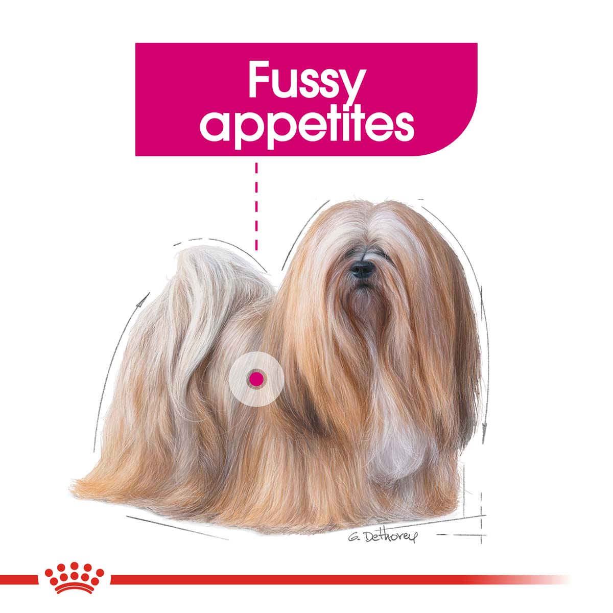 ROYAL CANIN EXIGENT Nassfutter für wählerische Hunde 12x85g