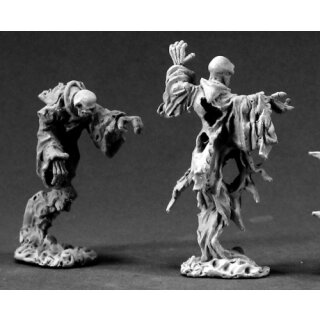 Spirits (REA03298)