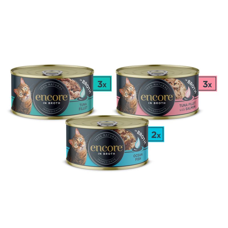 Sparpaket Encore Dose 48 x 70 g zu TOP-Preisen