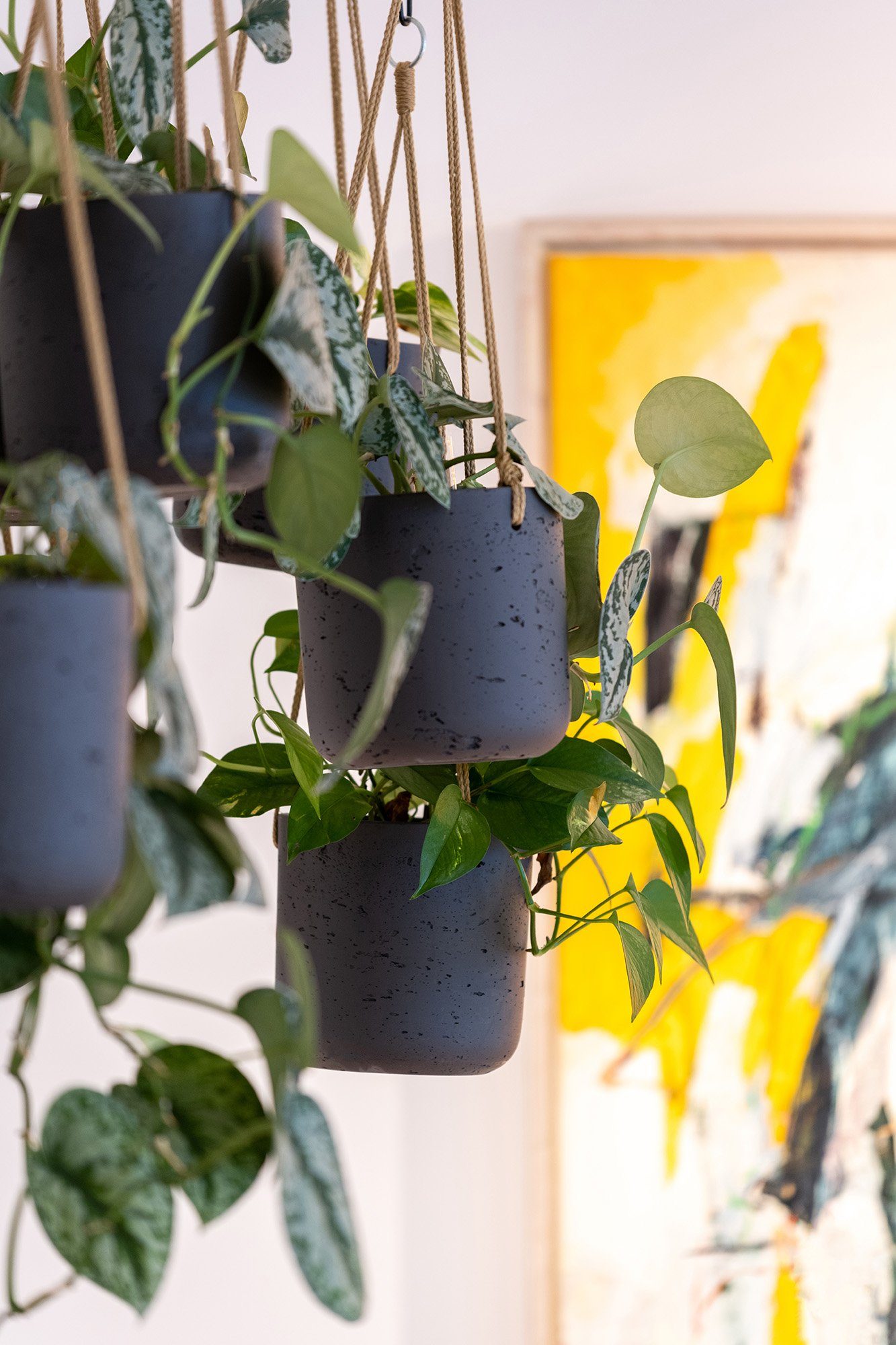 finestgreen Blumenampel Handgefertigte Blumenampel Hanging Charlie