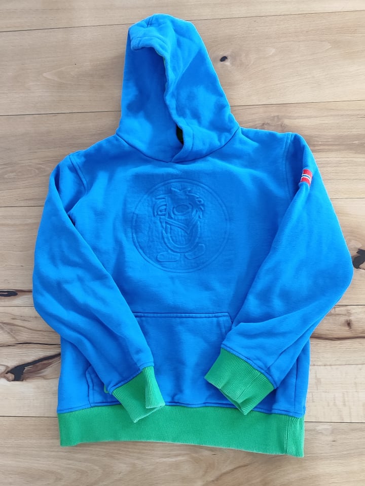 Trollkids Hoodie 