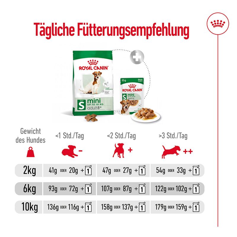 Royal Canin Mini Adult 8+ zu TOP-Preisen