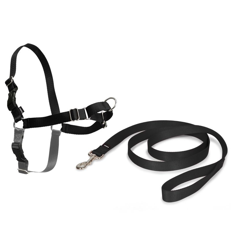 PetSafe Easy Walk Geschirr zu TOP-Preisen % | bitiba