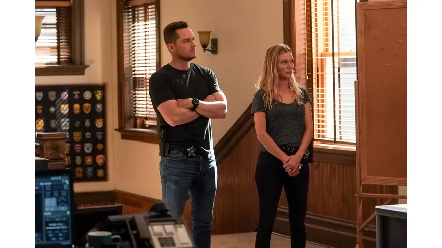 Chicago P.D. - Staffel 10  [5 DVDs]