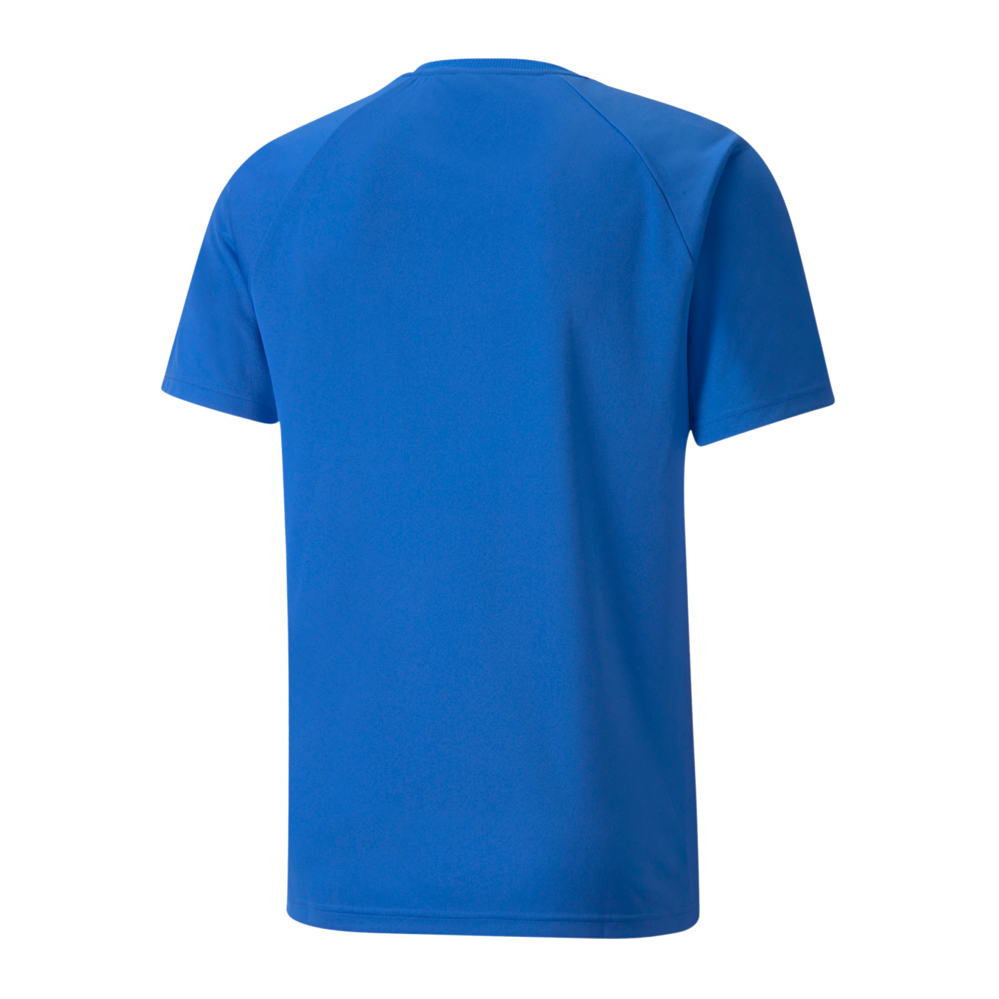 PUMA teamLIGA Striped Trikot Blau Schwarz F02