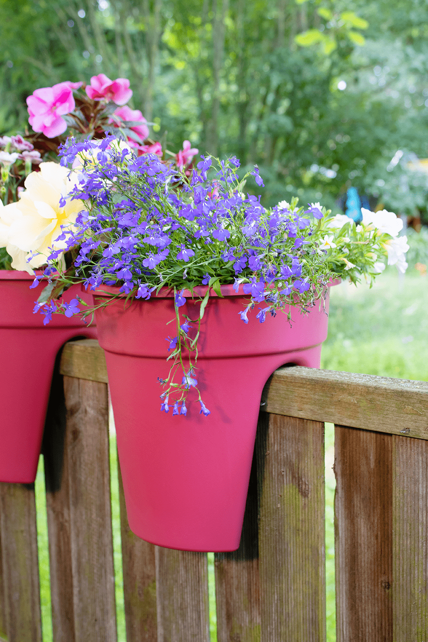 KHW Geländerblumentopf Flowerclip, 3er Set, beere